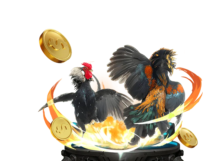 Chiến lược và tầm nhìn phát triển của Đá Gà Thomo